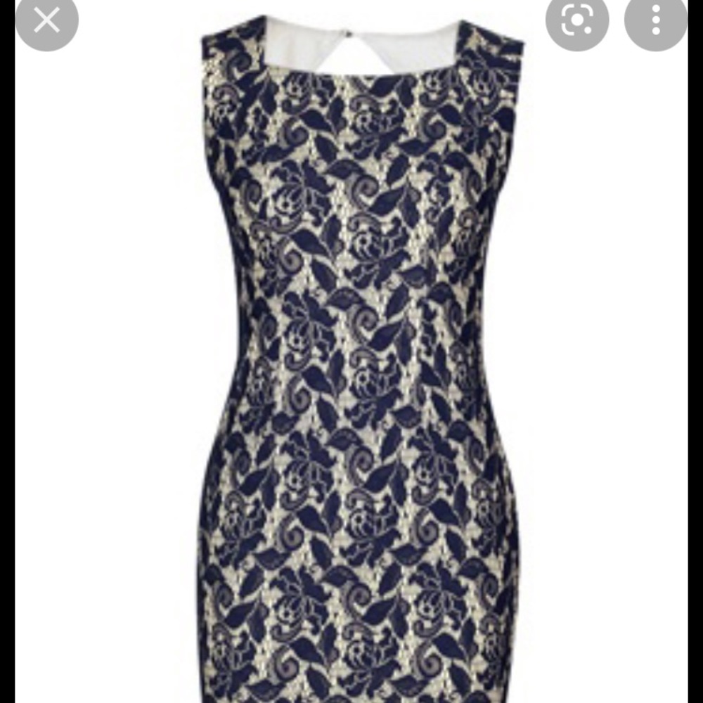 Indigo and Beige Lace Shift Dress